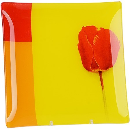 Н-р тарелок из 7шт "Аркофам" Тюльпаны (х8) " (150А-1)