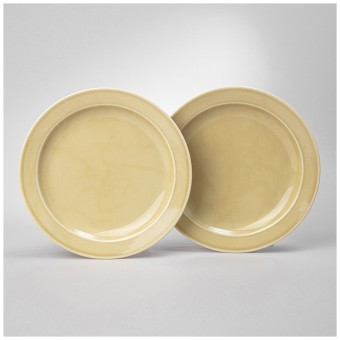 Набор тарелок обеденных lefard tint 24 см (желтый) 2 шт. Lefard (48-959-1) Набор тарелок обеденных lefard tint 24 см (желтый) 2 шт. Lefard (48-959-1)