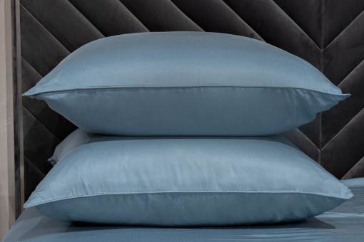 Комплект наволочек  бамбук, сине-зеленый 70*70 (2шт) (TT-00014585) Комплект наволочек  бамбук, сине-зеленый 70*70 (2шт) (TT-00014585)