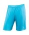 Шорты игровые JOGEL CAMP Classic Shorts, бирюзовый/белый, детский (702606) Шорты игровые JOGEL CAMP Classic Shorts, бирюзовый/белый, детский (702606)