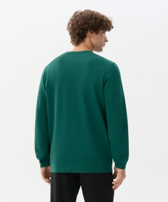 Свитшот JOGEL ESSENTIAL Sweatshirt, темно-зеленый (2121990) Свитшот JOGEL ESSENTIAL Sweatshirt, темно-зеленый (2121990)