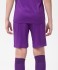 Шорты игровые JÖGEL CAMP Classic Shorts, фиолетовый/белый, детский (702621)