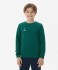 Свитшот JÖGEL ESSENTIAL Sweatshirt, темно-зеленый, детский (2121982)