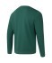 Свитшот JÖGEL ESSENTIAL Sweatshirt, темно-зеленый, детский (2121982)