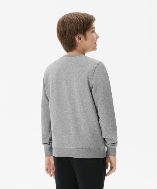 Свитшот JÖGEL ESSENTIAL Sweatshirt, серый меланж, детский (2121968)