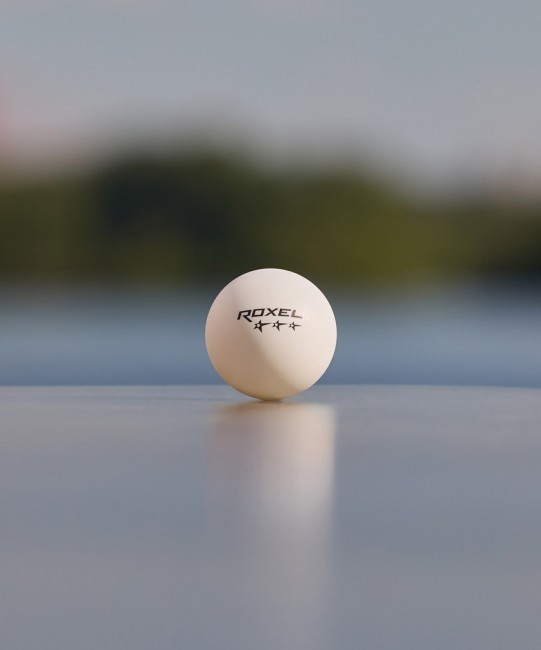 Мяч для настольного тенниса Roxel 3* Prime, белый, 6 шт. (610663)
