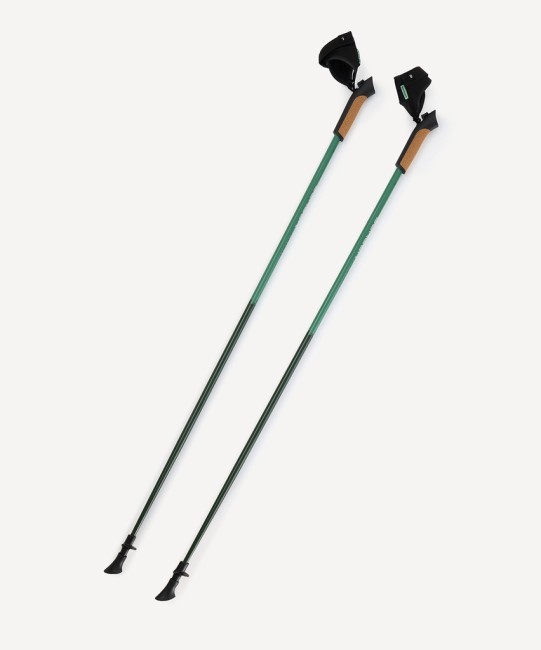 Палки для скандинавской ходьбы Berger Travel Forest, 115 см, цельные, зеленый (2119447)