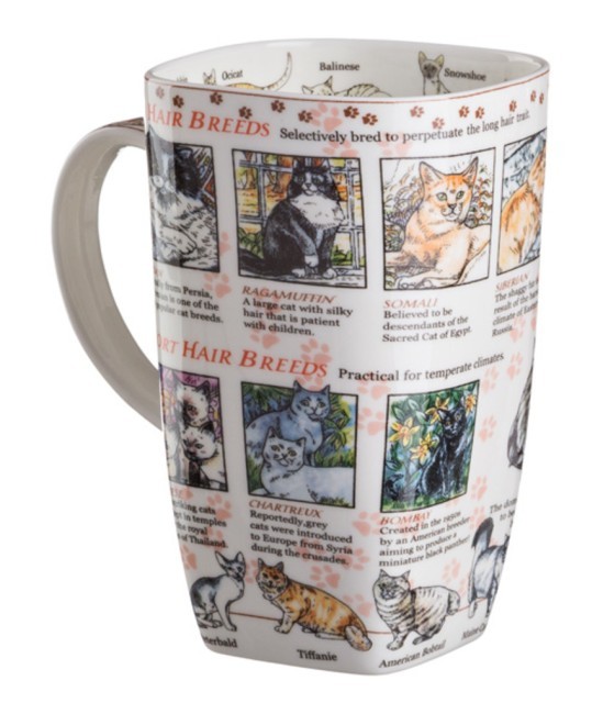 Кружка lefard "the world of the cat" 650 мл Lefard (264-217) Кружка lefard "the world of the cat" 650 мл Lefard (264-217)