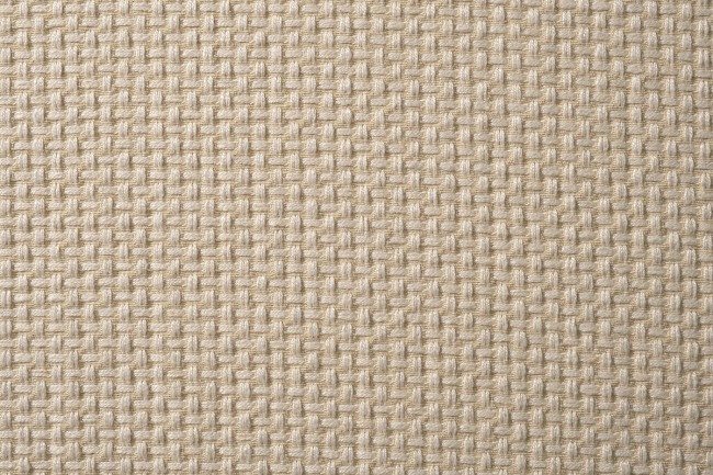-BOTEGA SVBEG Ткань (TT-00013183)