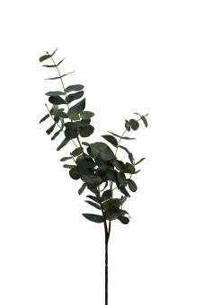 Листья эвкалипта 90 см (24) - TT-00000677