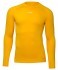 Джемпер компрессионный утепленный JÖGEL CAMP PerFormDRY Baselayer Top Warm, желтый (2126296)