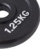 Диск чугунный Starfit BB-204 d=26 мм, черный, 1,25 кг (998409)