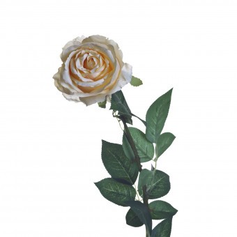 Роза кремовая 80 см (12) (D-00002401) 