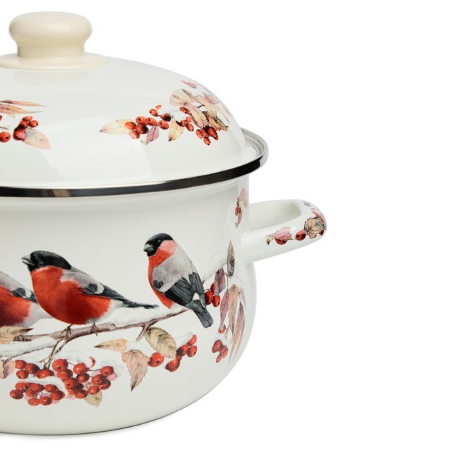 Кастрюля agness эмалированная с эмал.крышкой серия "снегири", 3.6 л, 22*13 см Agness (934-748) Кастрюля agness эмалированная с эмал.крышкой серия "снегири", 3.6 л, 22*13 см Agness (934-748)