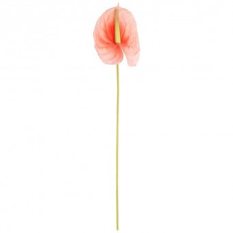 Цветок искусственный "антуриум" высота=51см, розовый Lefard (377-274)
