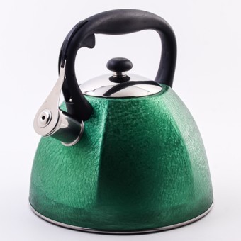 Чайник со свистком зелёный 3 л нерж/ст/пластик (5063-1)