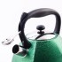 Чайник со свистком зелёный 3 л нерж/ст/пластик (5063-1)