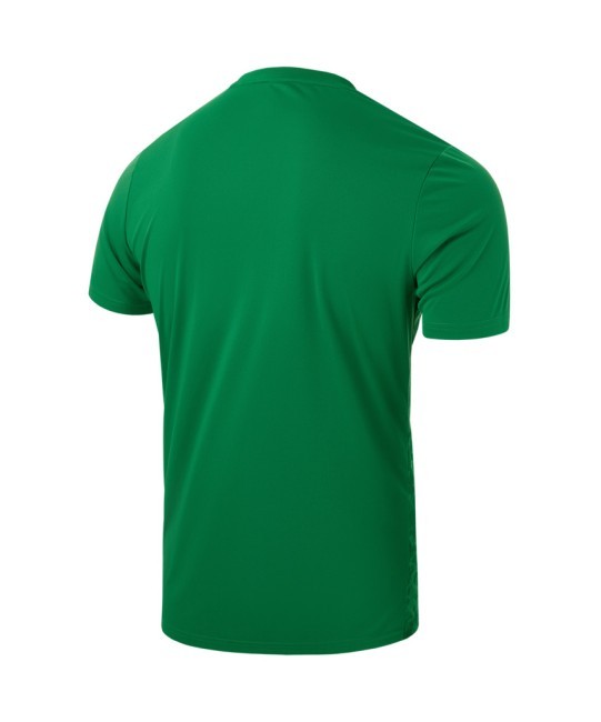 Футболка вратарская JOGEL DIVISION PerFormDRY SPLASH GK Jersey, зеленый, детский (2120961)