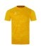 Футболка вратарская JOGEL DIVISION PerFormDRY SPLASH GK Jersey, желтый, детский (2121010)