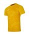 Футболка вратарская JOGEL DIVISION PerFormDRY SPLASH GK Jersey, желтый, детский (2120955)