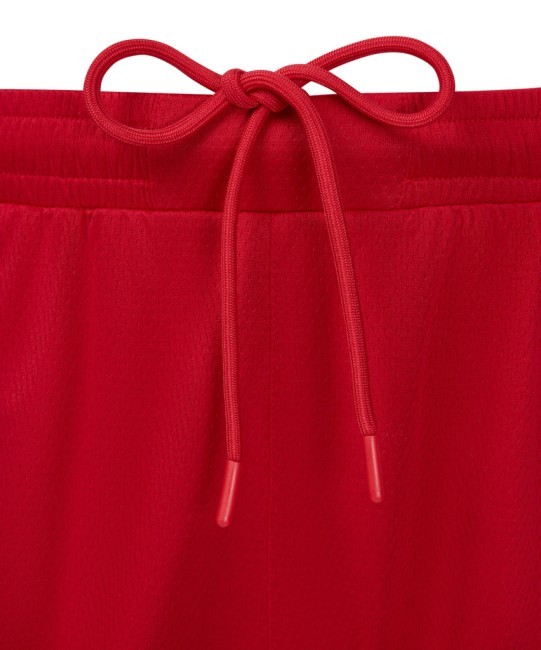 Шорты баскетбольные JÖGEL DIVISION PerFormDRY Shorts R2, красный (2130670) Шорты баскетбольные JÖGEL DIVISION PerFormDRY Shorts R2, красный (2130670)