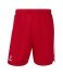 Шорты баскетбольные JÖGEL DIVISION PerFormDRY Shorts R2, красный (2130670) Шорты баскетбольные JÖGEL DIVISION PerFormDRY Shorts R2, красный (2130670)