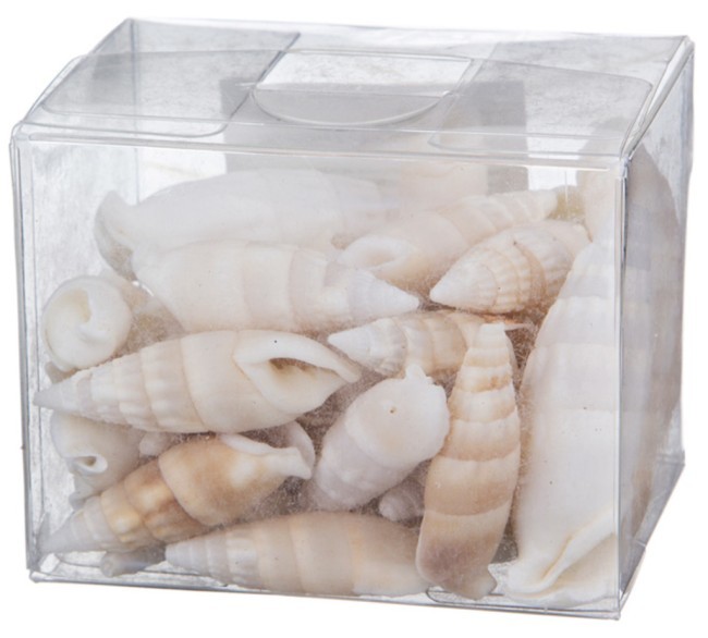 Декоративные ракушки 250  гр Vogue International (36-259) Декоративные ракушки 250  гр Vogue International (36-259)