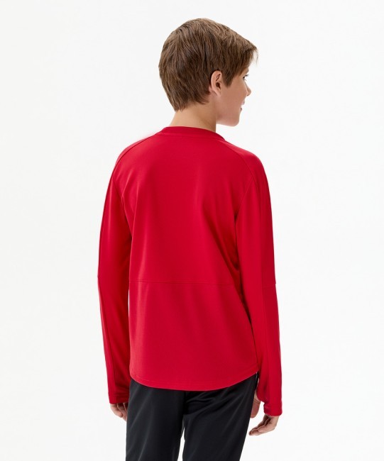 Джемпер тренировочный JÖGEL DIVISION PerFormDRY Pro Training Top, красный (2115990) Джемпер тренировочный JÖGEL DIVISION PerFormDRY Pro Training Top, красный (2115990)