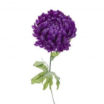 Хризантема фиолетовая 63 см (24) - 00002433