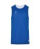 Майка двухсторонняя JÖGEL DIVISION PerFormDRY Double-Side RBF Jersey, синий/белый (2118992)
