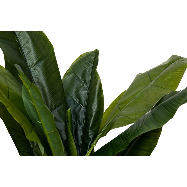 Банановый куст h135 см (TT-00001917) Банановый куст h135 см (TT-00001917)