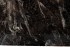 Тумба под телевизор Bbfly 220*42*48см (TT-00011529)