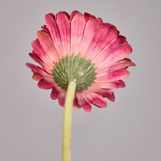 Цветок искусственный "гербера" высота=61см. Lefard (287-562) Цветок искусственный "гербера" высота=61см. Lefard (287-562)