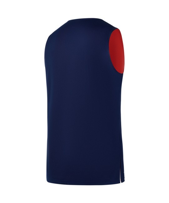Майка двухсторонняя JOGEL DIVISION PerFormDRY Double-Side RBF Jersey, темно-синий/красный (2118553) Майка двухсторонняя JOGEL DIVISION PerFormDRY Double-Side RBF Jersey, темно-синий/красный (2118553)