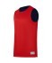 Майка двухсторонняя JOGEL DIVISION PerFormDRY Double-Side RBF Jersey, темно-синий/красный (2118553) Майка двухсторонняя JOGEL DIVISION PerFormDRY Double-Side RBF Jersey, темно-синий/красный (2118553)