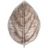 Блюдо декоративное "leaf" 16,*11,6*2,8см Lefard (248-089)
