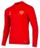 Джемпер тренировочный JÖGEL NATIONAL PerFormDRY Training Zip Top, красный (2110415)