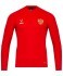 Джемпер тренировочный JÖGEL NATIONAL PerFormDRY Training Zip Top, красный (2110415)