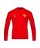 Джемпер тренировочный JOGEL NATIONAL PerFormDRY Training Zip Top, красный (2110415) Джемпер тренировочный JOGEL NATIONAL PerFormDRY Training Zip Top, красный (2110415)
