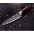 Нож 29см DOMASCUS высококачественная сталь Mayer&Boch (28031)