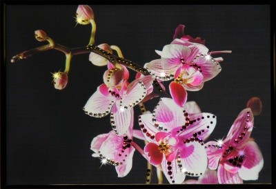 Картина Маленькая орхидея с кристаллами Swarovski (1205)