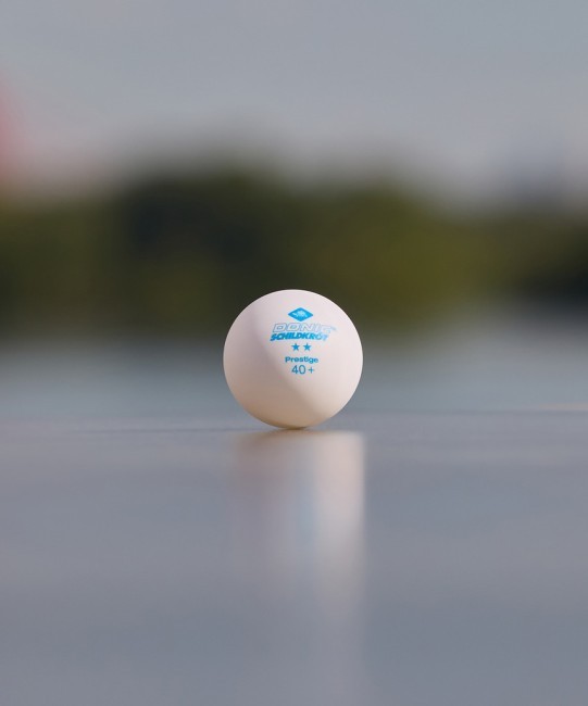 Мяч для настольного тенниса Donic 2* Prestige, белый 6 шт. (1035746)