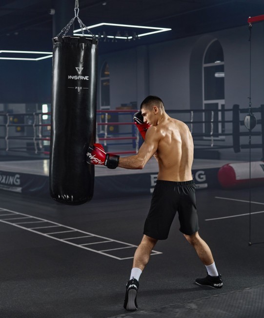 Мешок боксерский INSANE PRO PUNCH, 170 см, 70 кг, тент, черный (2120403) Мешок боксерский INSANE PRO PUNCH, 170 см, 70 кг, тент, черный (2120403)