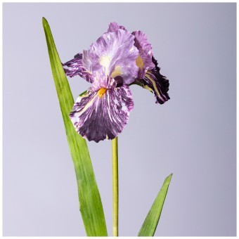 Цветок искусственный "ирис" высота=95 см. Lefard (287-501)