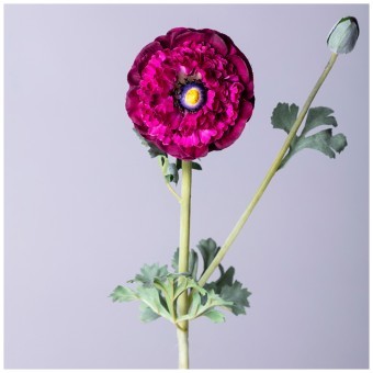 Цветок искусственный "ранункулюс" высота=55см. Lefard (287-527) Цветок искусственный "ранункулюс" высота=55см. Lefard (287-527)