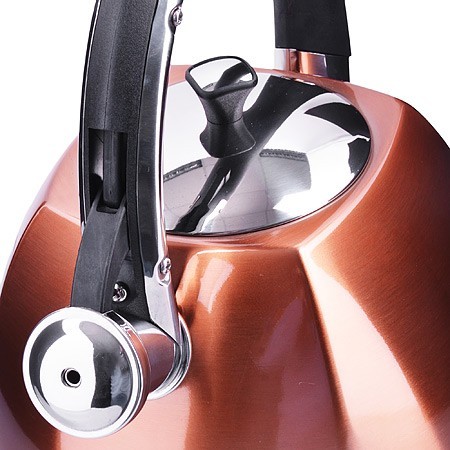 Чайник 3 л нерж/сталь со свистком Mayer&Boch (28970)