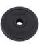 Диск пластиковый BASEFIT BB-203 d=26 мм, черный, 1 кг (1483990) Диск пластиковый BASEFIT BB-203 d=26 мм, черный, 1 кг (1483990)
