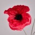 Цветок искусственный "мак" высота=50см. Lefard (287-573)