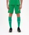 Шорты игровые JÖGEL DIVISION PerFormDRY Union Shorts, зеленый (2111829)