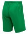 Шорты игровые JÖGEL DIVISION PerFormDRY Union Shorts, зеленый (2111829)